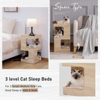 Niche pour chat, lit pour chat, arbre à chat avec griffoir et tapis amovibles