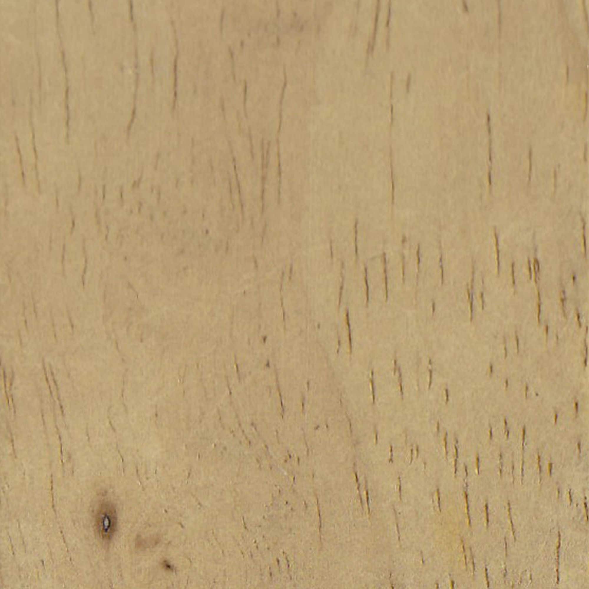 Banc de rangement moderne Sherpa avec pieds en bois HomePop