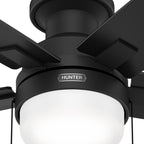 Ventilateur de plafond à profil bas Hunter 52 Anisten avec éclairage LED et chaînette - Moderne, contemporain, transitionnel