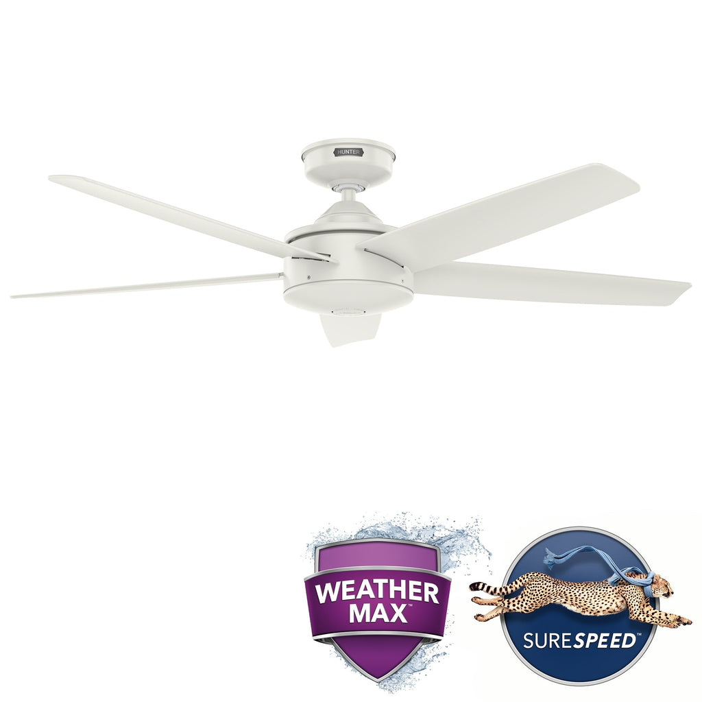 Ventilateur de plafond intérieur/extérieur Hunter 52 Shorebreak WeatherMax avec commande murale - Résistant aux intempéries, au sel et à la corrosion