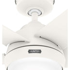 Ventilateur de plafond extérieur Hunter 52 Skyflow avec kit d'éclairage LED, commande murale - Côtier moderne contemporain - WeatherMax - CLASSÉ HUMIDE !