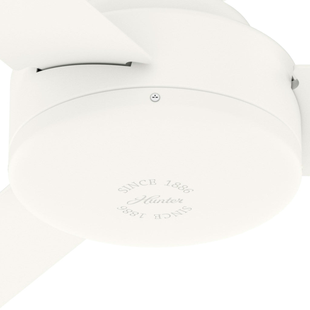 Pergola d'extérieur en acier de 10 pi x 13 pi, auvent de patio avec trous de drainage pour jardin, terrasse de piscine