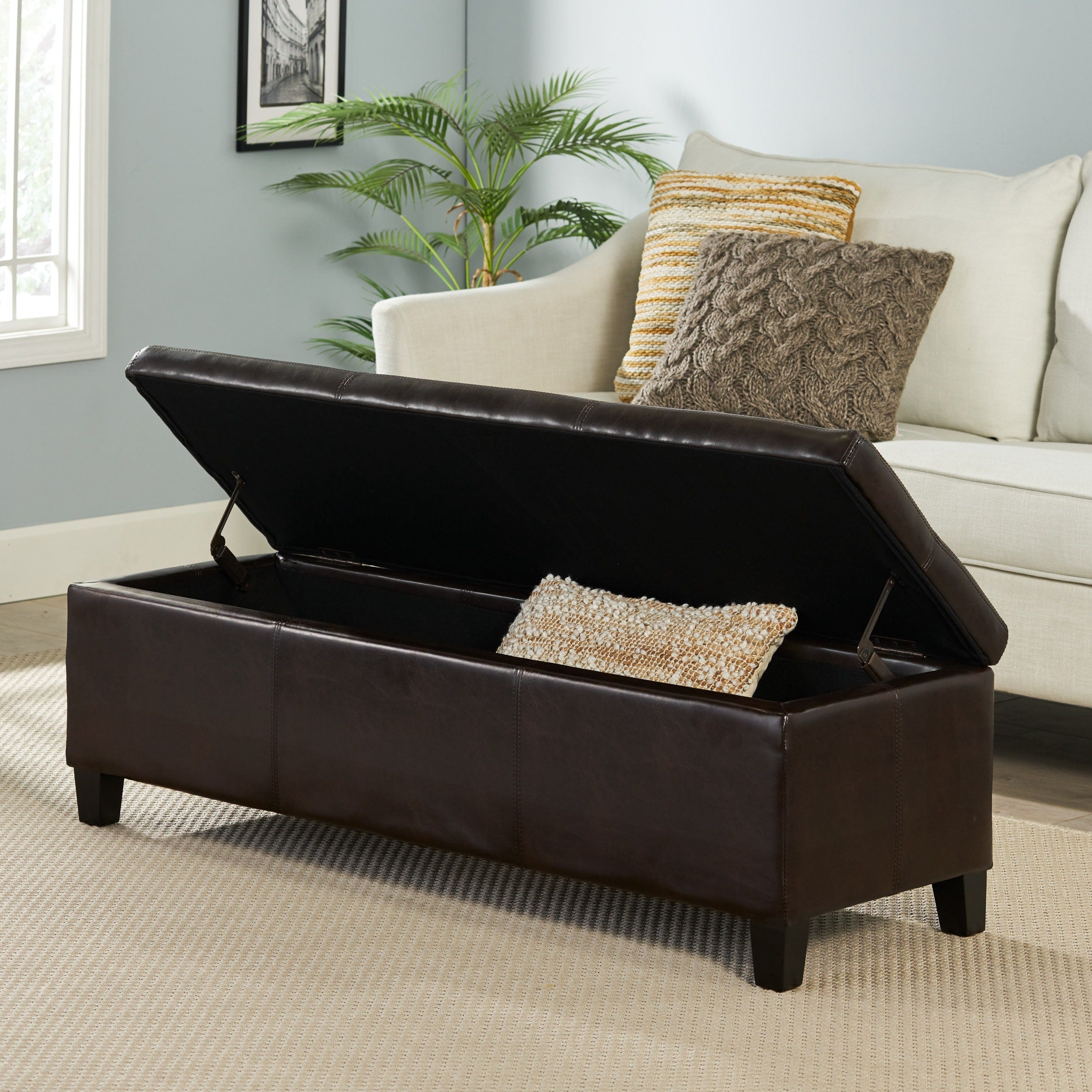 Banc de rangement en similicuir Lucinda par Christopher Knight Home - 51,25 L x 17,50 l x 16,25 H