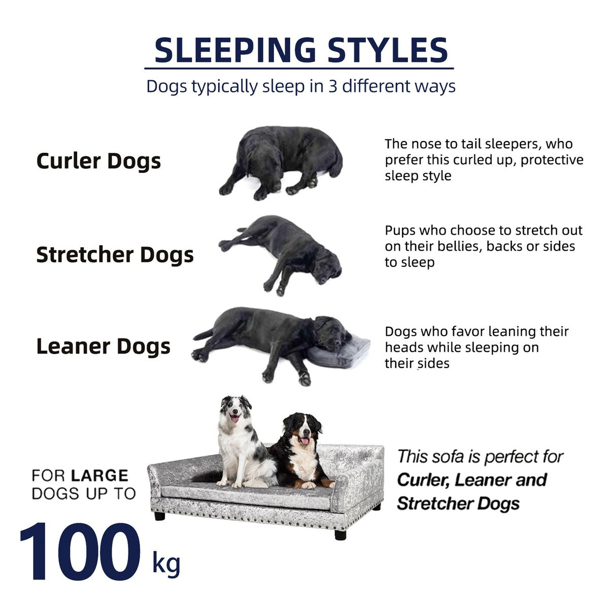 Lit pour animal de compagnie en velours capitonné avec coussin amovible