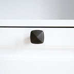 Station d'alimentation pour chiens Roomfitters avec 2 gamelles surélevées et armoire d'alimentation inclinable pour animaux de compagnie